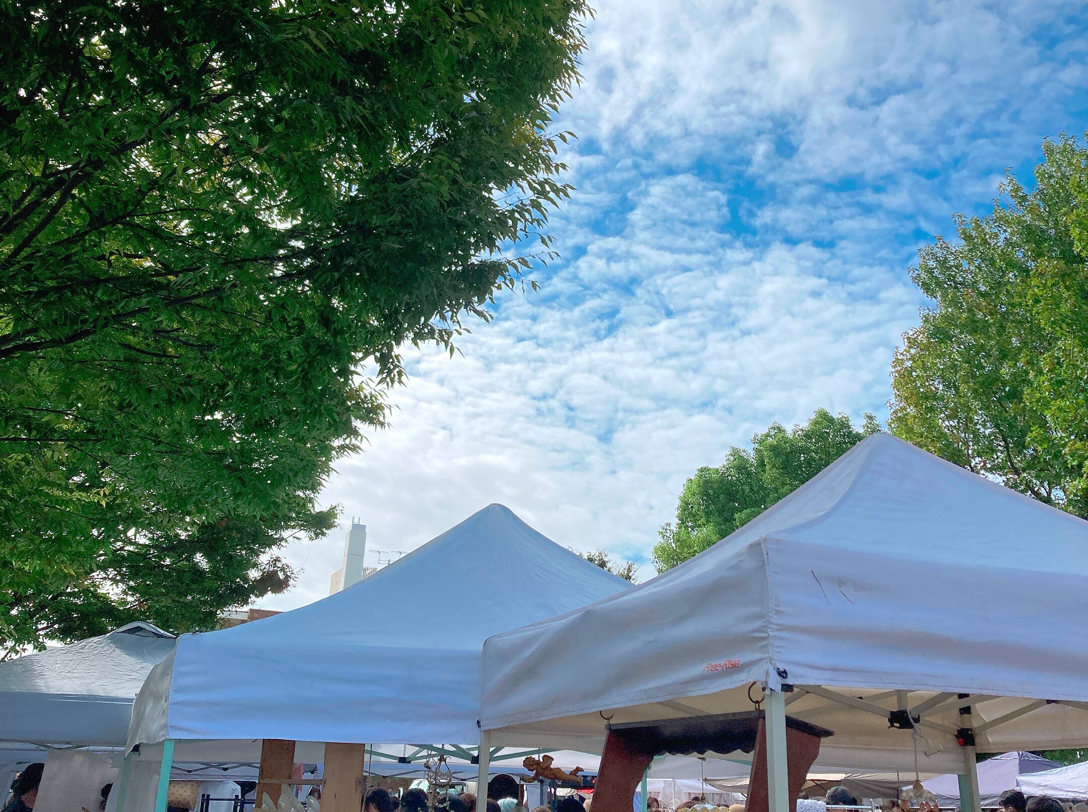 代官山蚤の市2024年