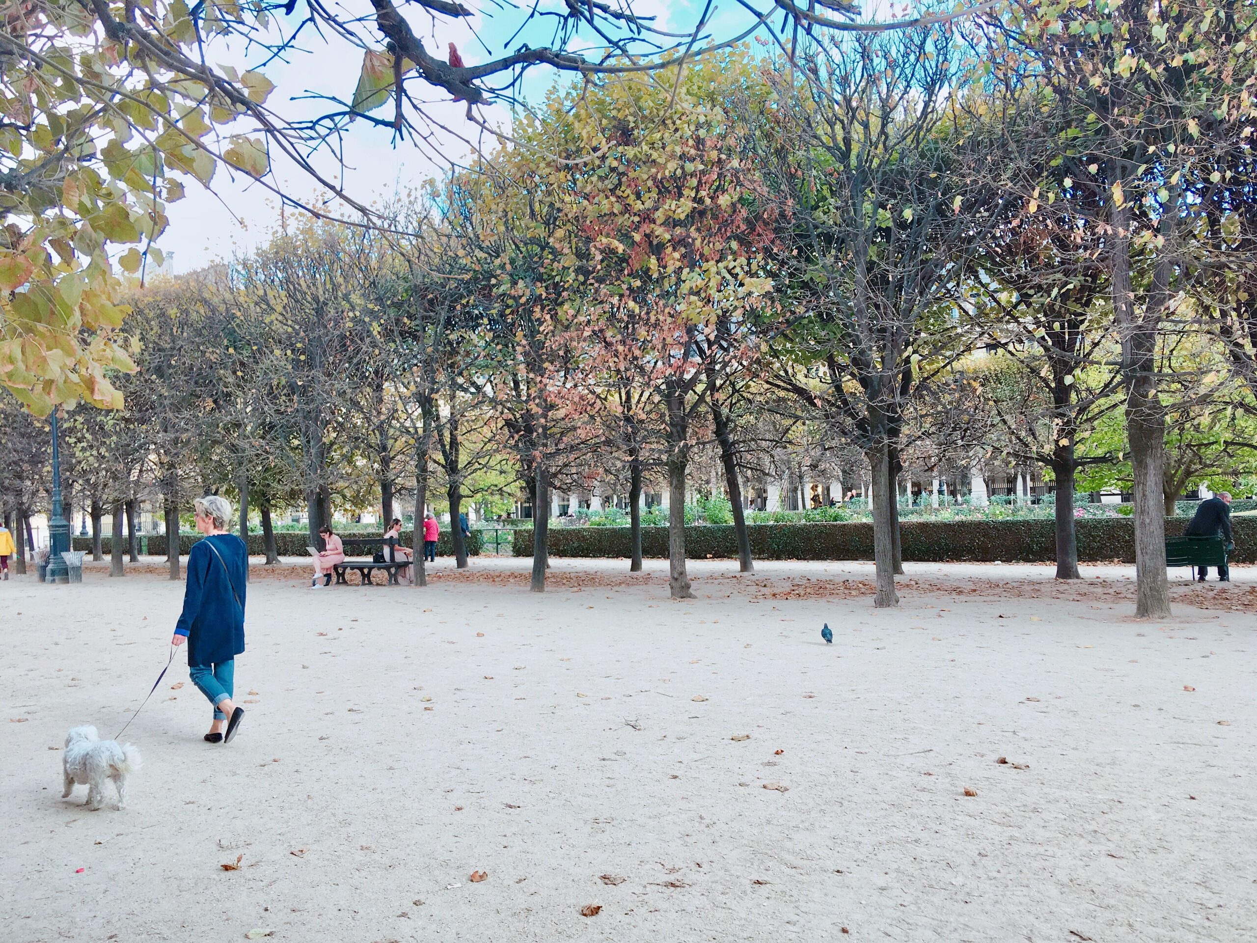 パリ・ヴォージュ広場で犬と散歩中のマダム