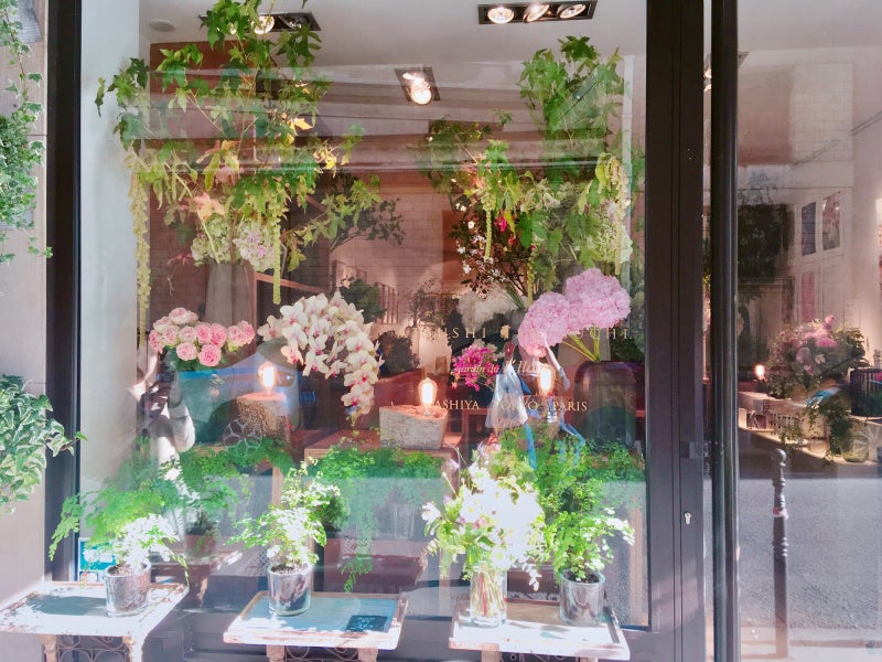 アイロニーのショーウインドウ