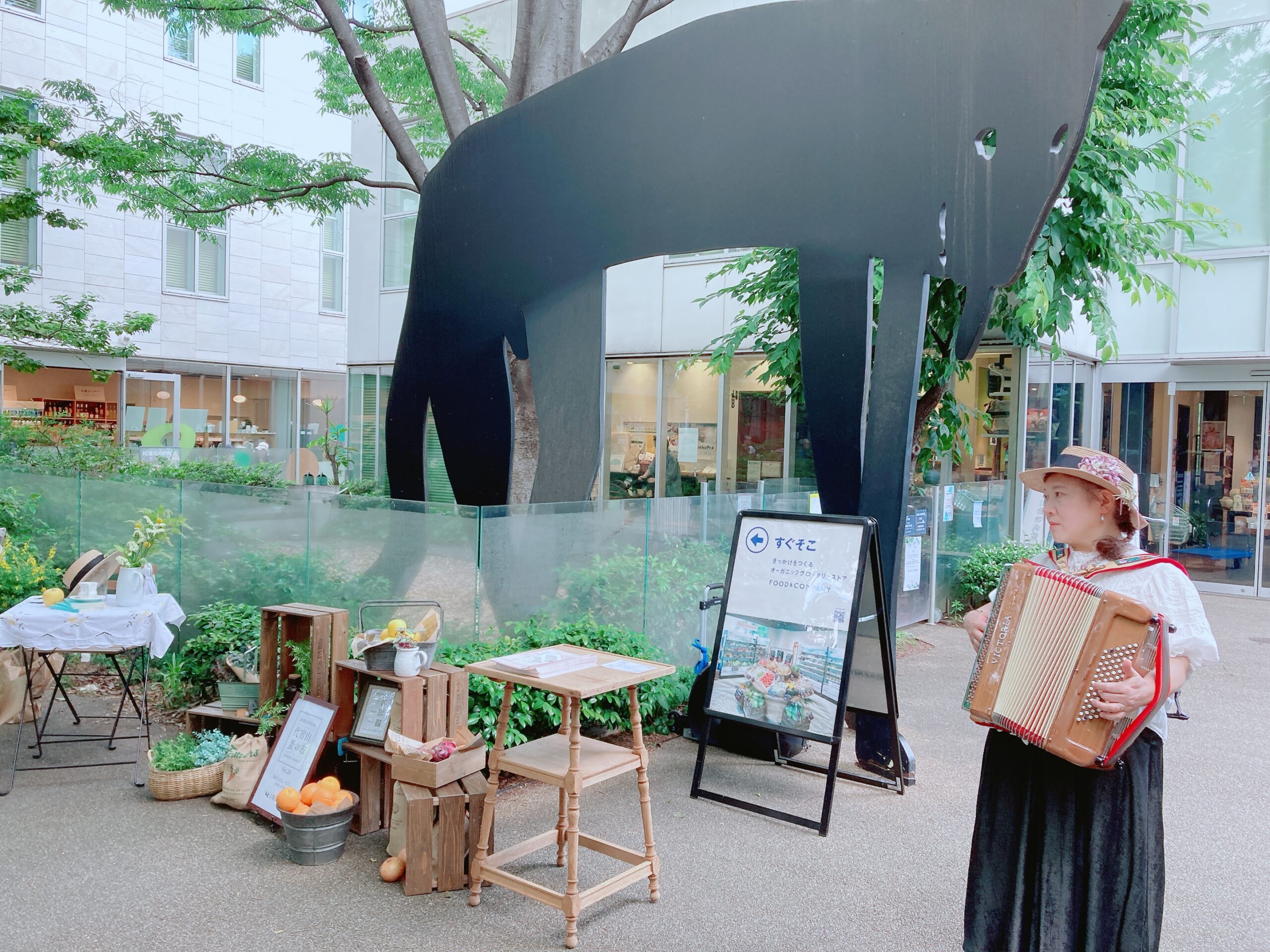 代官山蚤の市、アコーディオン演奏