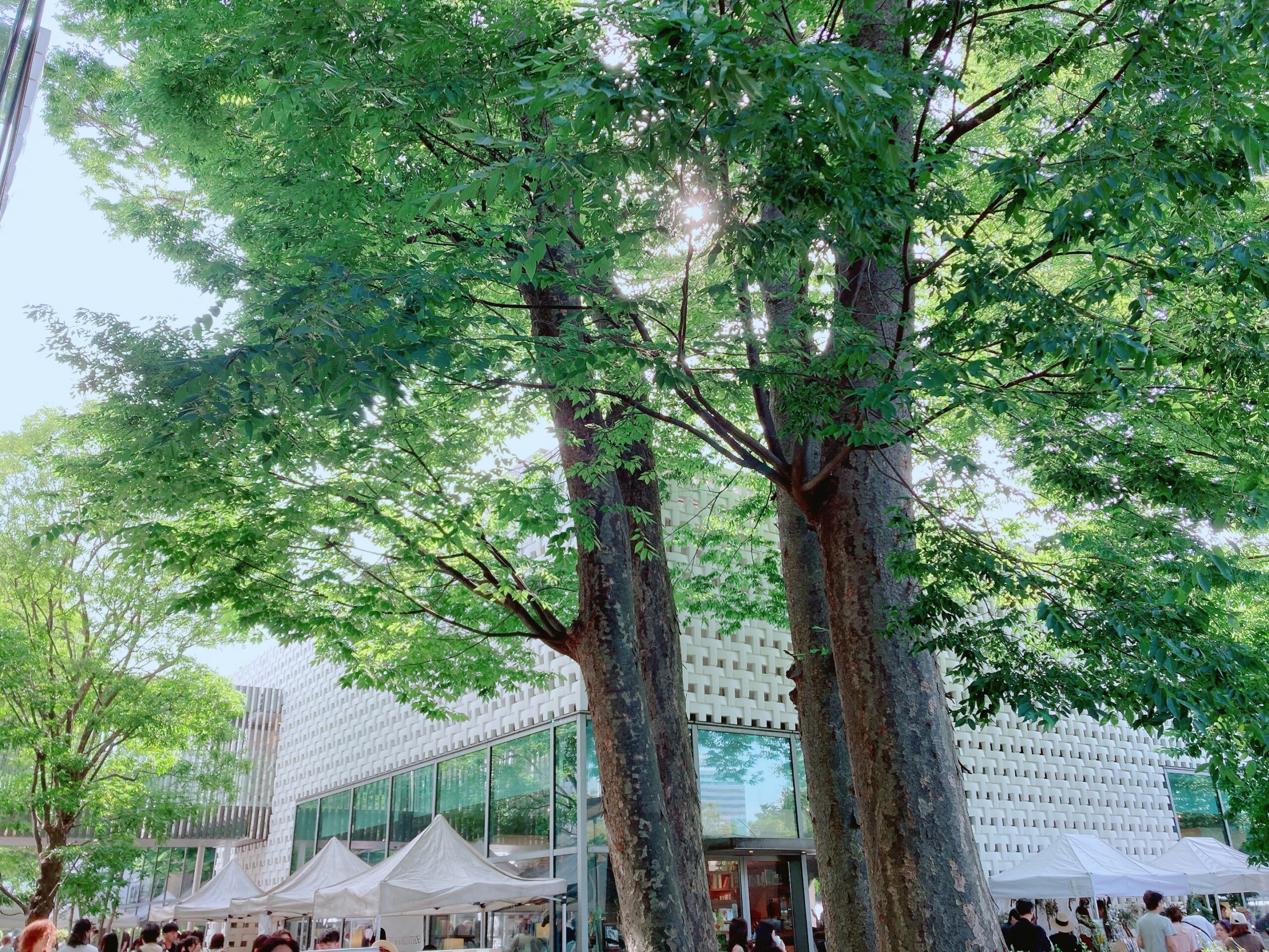 代官山蚤の市