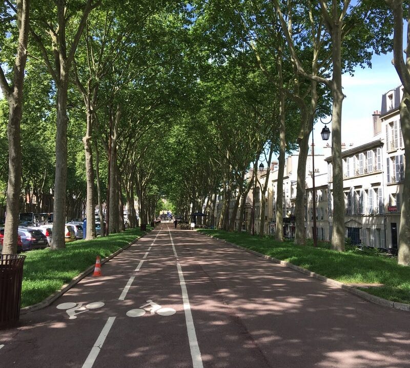 ヴェルサイユの散歩道
