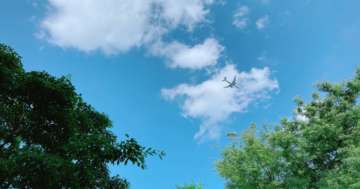 秋の空と蚤の市